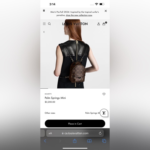 Louis Vuitton Palm Springs Mini - Picture 6 of 12